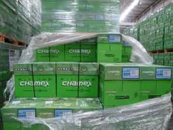 Chamex Copy Paper For Sale A4 80GSM/75GSM/70GSM - Image 2